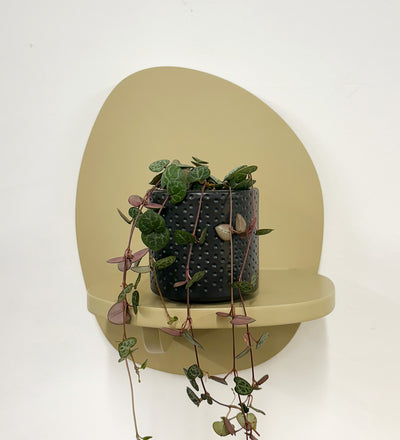 Mini String of Hearts & Pot