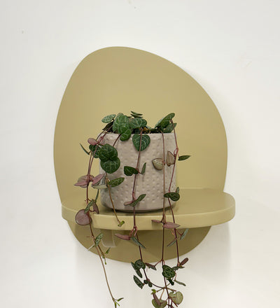 Mini String of Hearts & Pot