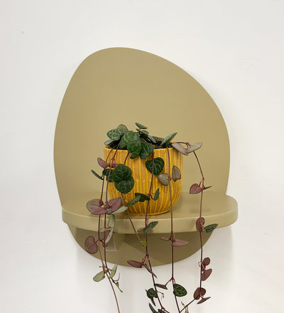 Mini String of Hearts & Pot