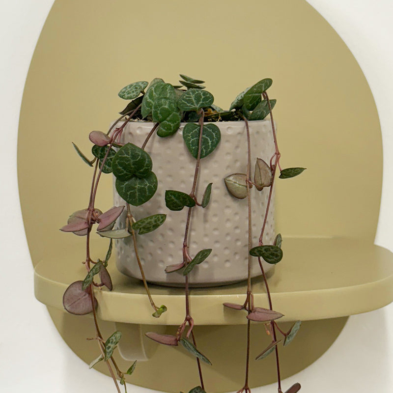 Mini String of Hearts & Pot