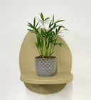 Blue Pot
