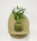 Green Pot