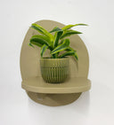Green Pot
