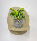 Blue Pot