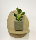 Green Pot