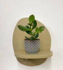 Blue Pot