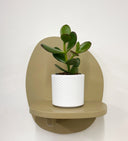 White Pot