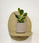 Taupe Pot
