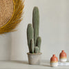 Artificial San Pedro Cactus