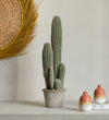Artificial San Pedro Cactus & Pot