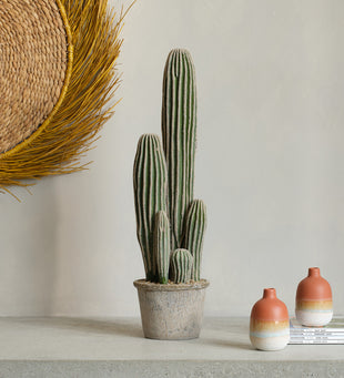 Artificial San Pedro Cactus & Pot