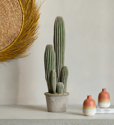 Artificial San Pedro Cactus & Pot