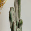 Artificial San Pedro Cactus