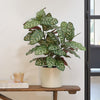 Artificial Calathea Bush