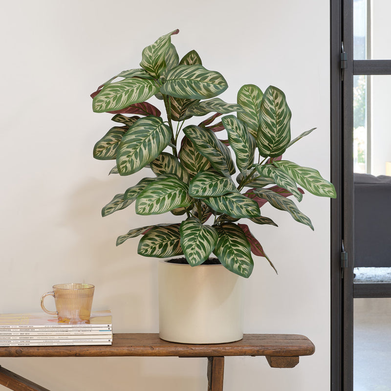 Artificial Calathea Bush