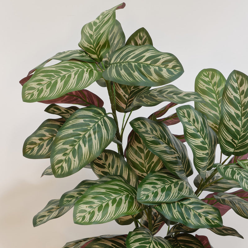 Artificial Calathea Bush