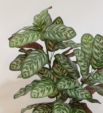 Artificial Calathea Bush