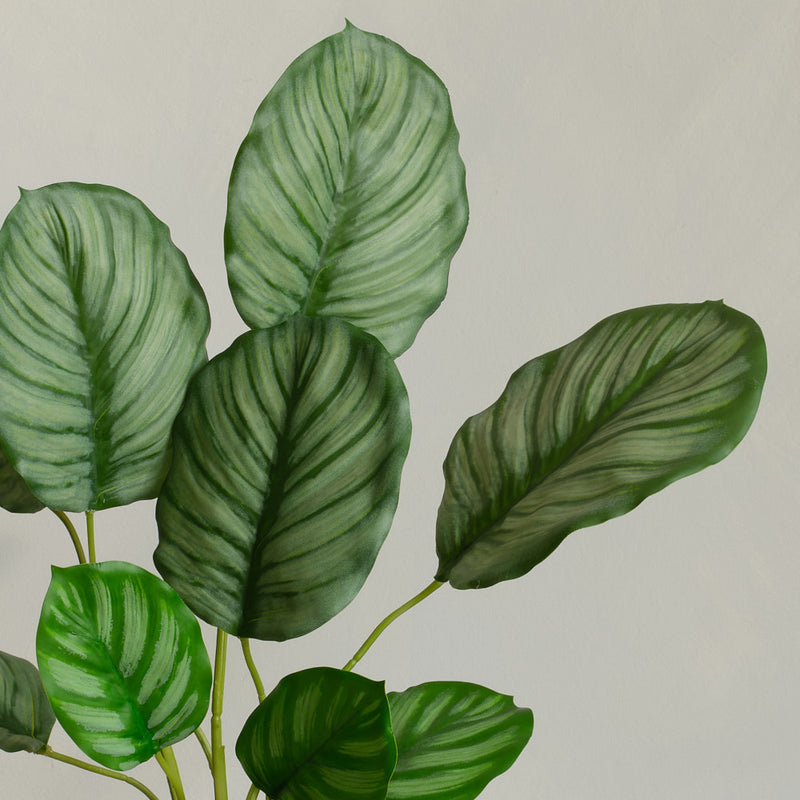 Artificial Calathea Orbifolia