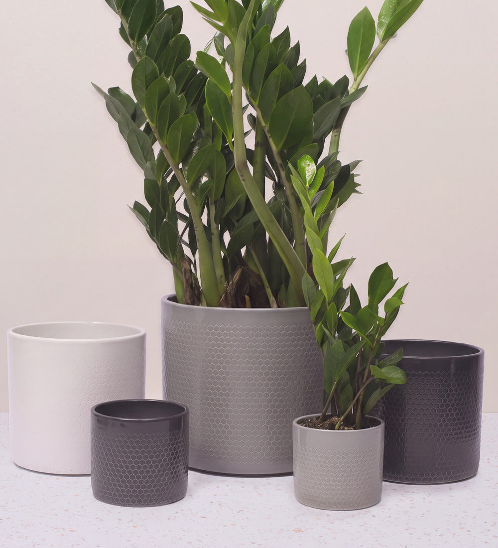 Capri Pot ceramic plant pot range