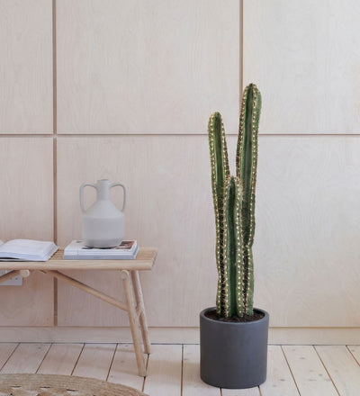 Artificial Cereus Cactus