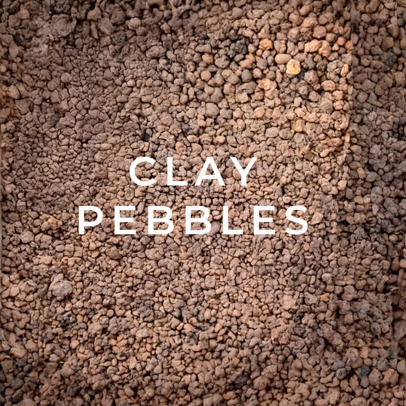Clay pebbles