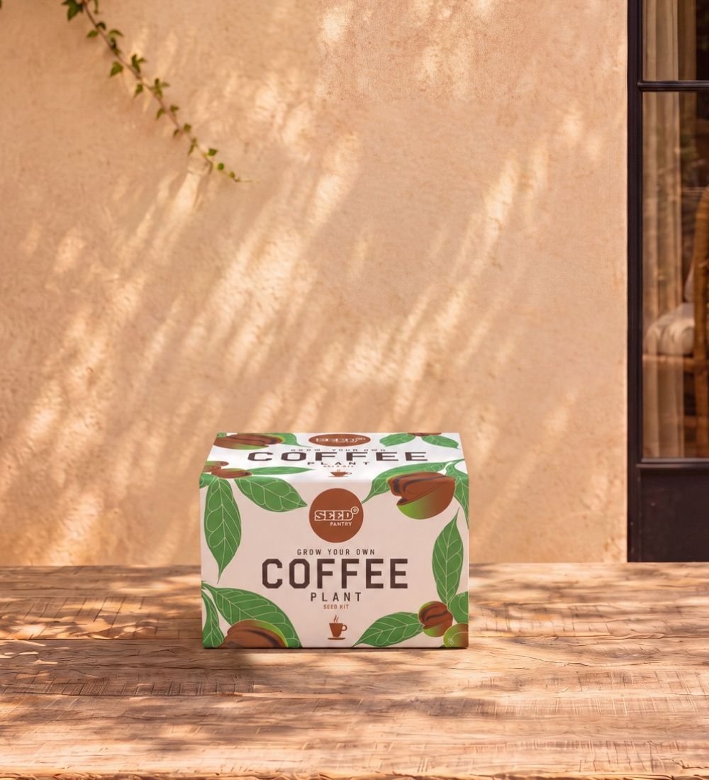 Coffee Bean Plant Seed Kit