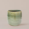 Mint Como Pot 18cm