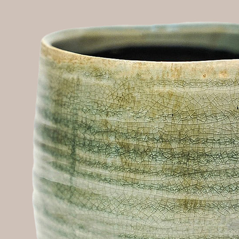 Mint Como Pot 18cm