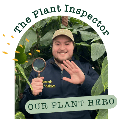 Meet the plant inspector