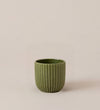 Green Sara Pot 7cm