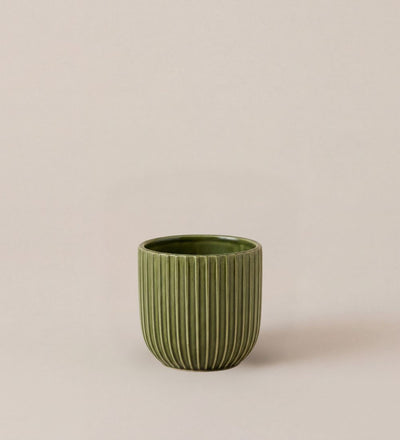 Green Sara Pot 7cm