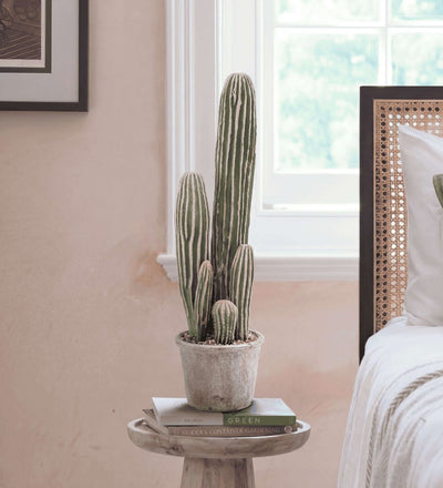 Artificial San Pedro Cactus & Pot