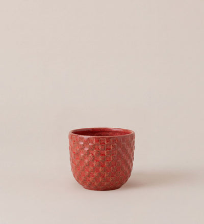 Pink Daan Pot 7cm