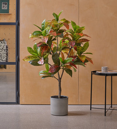 Artificial Croton Tree