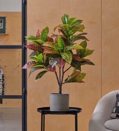 Artificial Croton Tree