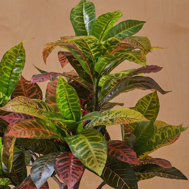 Artificial Croton Tree