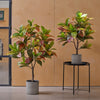 Artificial Croton Tree