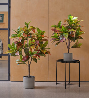 Artificial Croton Tree