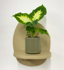 Khaki Pot