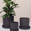 Charcoal Dalston Pot