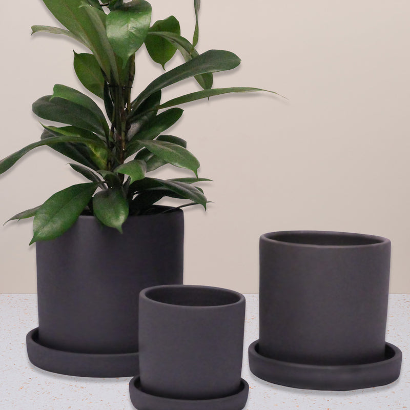 Charcoal Dalston Pot