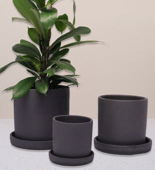 Charcoal Dalston Pot