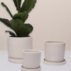 Chalk Dalston Pot
