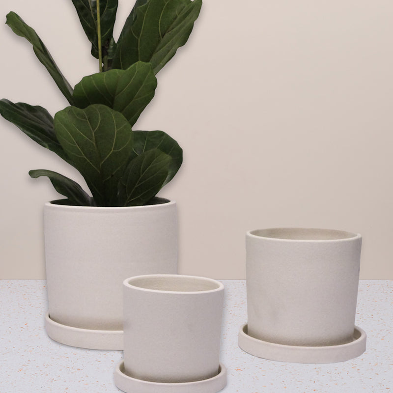 Chalk Dalston Pot