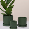 Sea Spray Dalston Pot