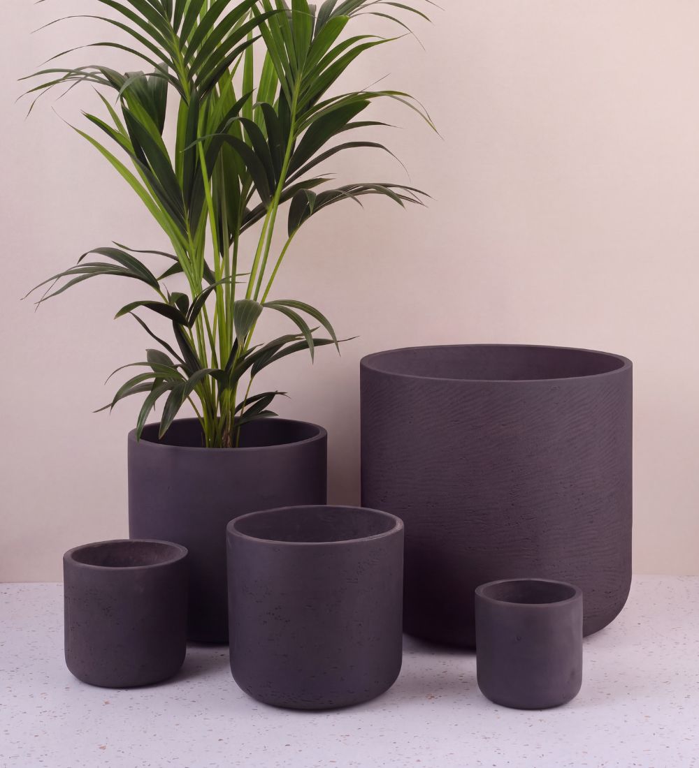 Dark Grey Concrete Pot