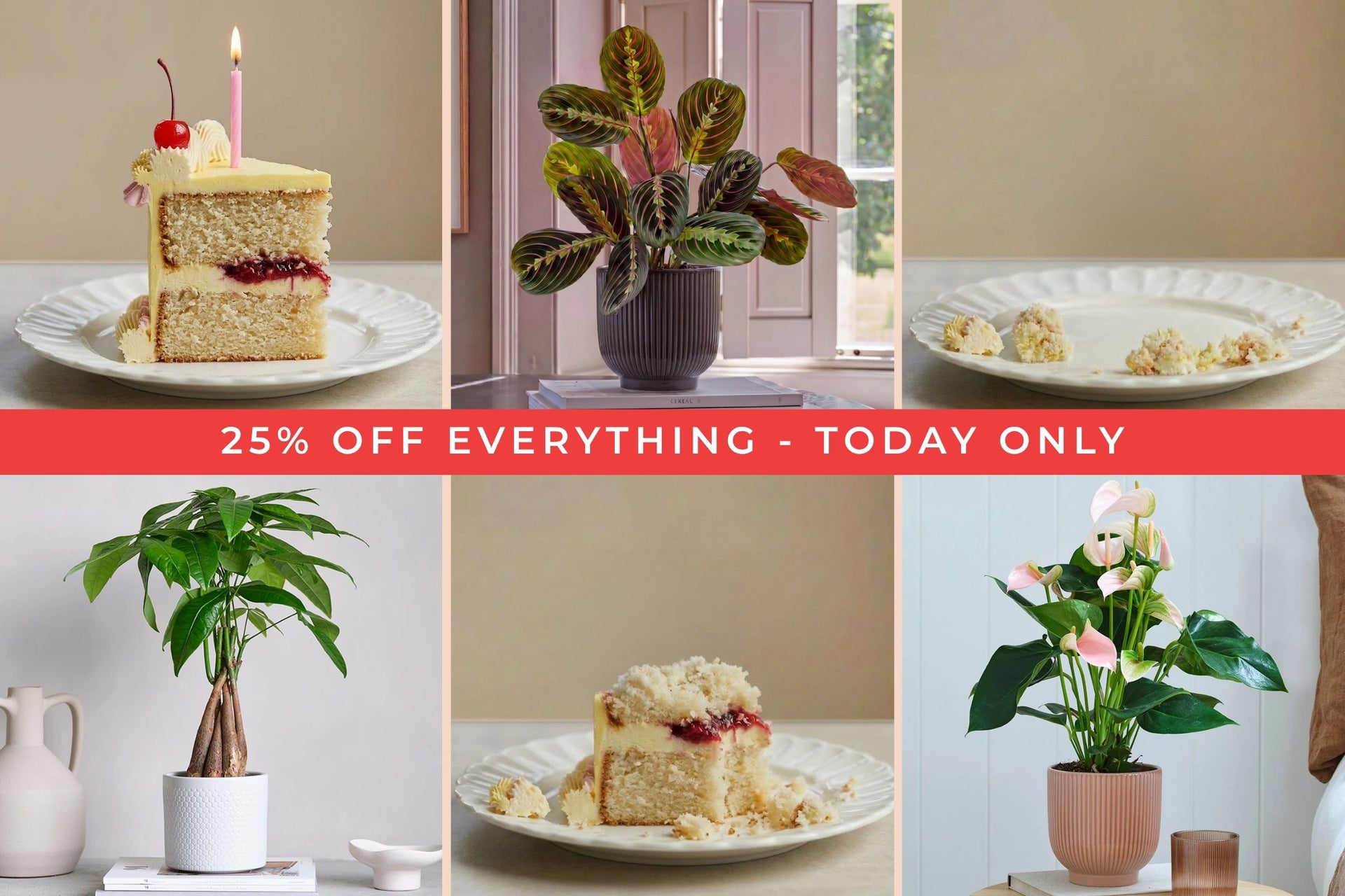 25% off Everything