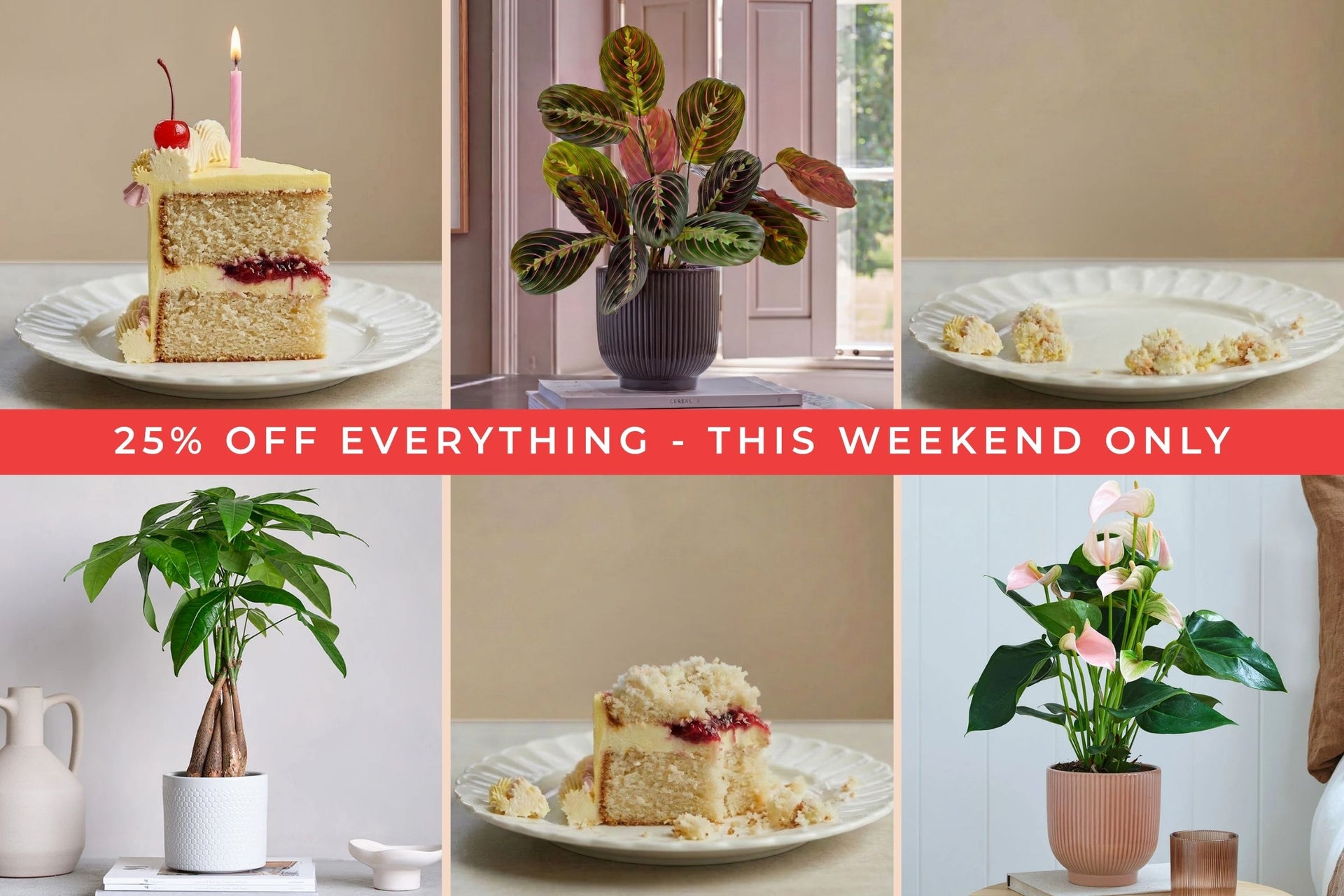 25% off Everything