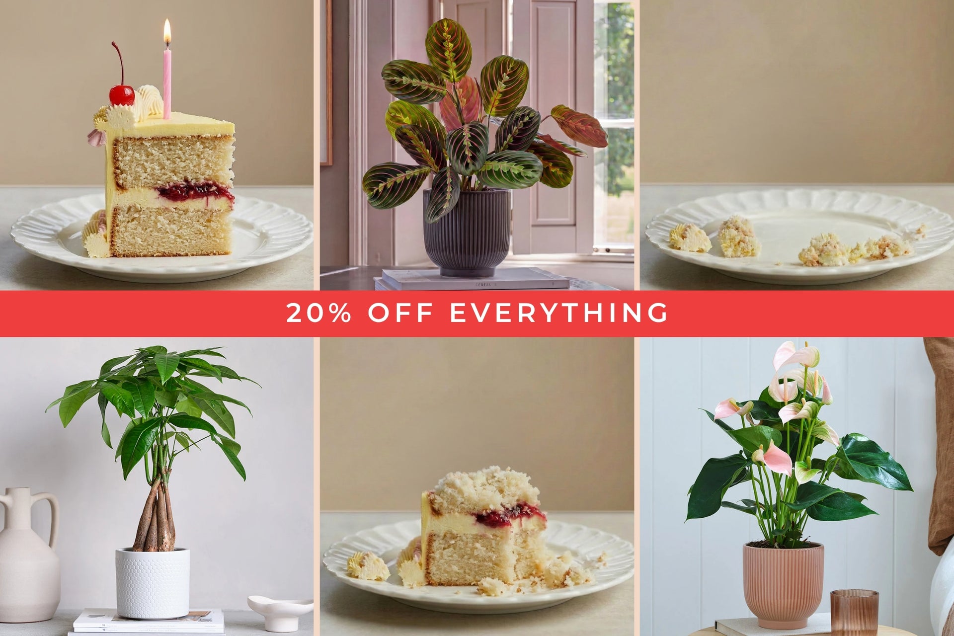 20% off Everything