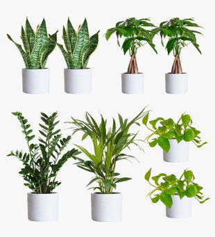 Cool Grey Desktop Bundle